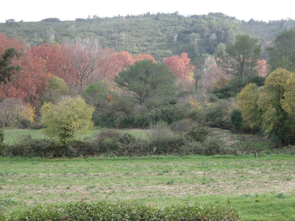 Appart'17-Domaine De La Source Uzès Habitación foto